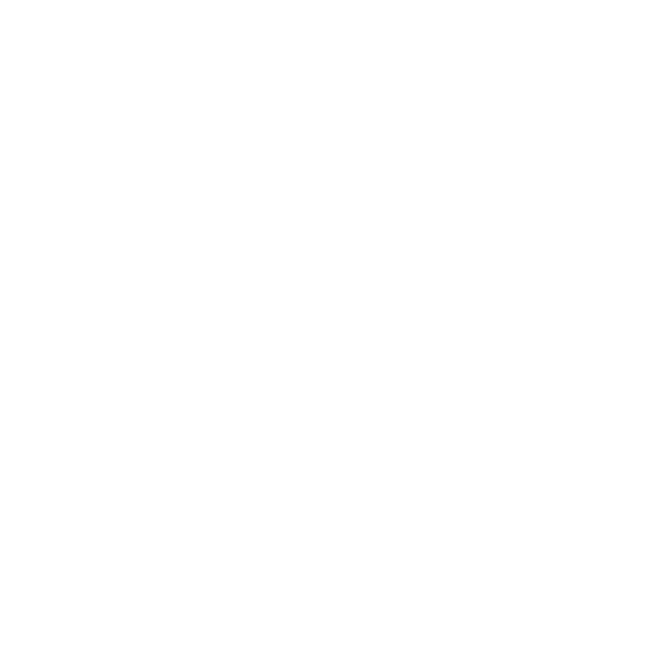 Logo Magnum Partners